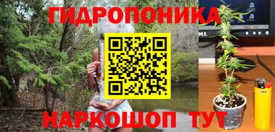 молекула духа Лесосибирск