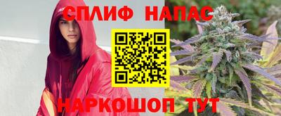 молекула духа Лесосибирск
