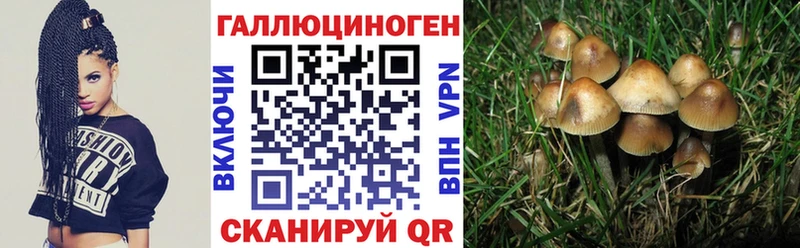 Галлюциногенные грибы мухоморы  Электрогорск 
