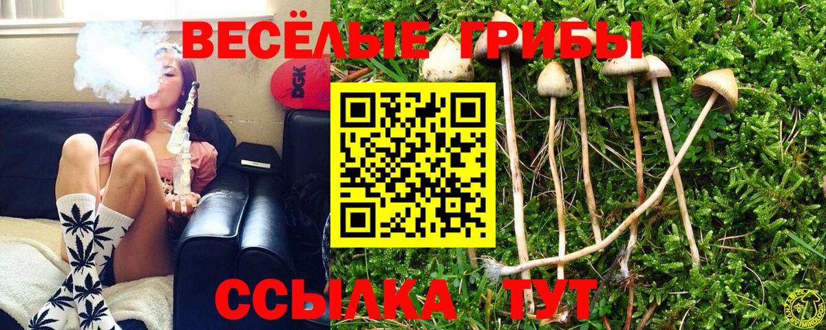 Галлюциногенные грибы прущие грибы  Вход с VPN  магазин продажи наркотиков  Электрогорск 